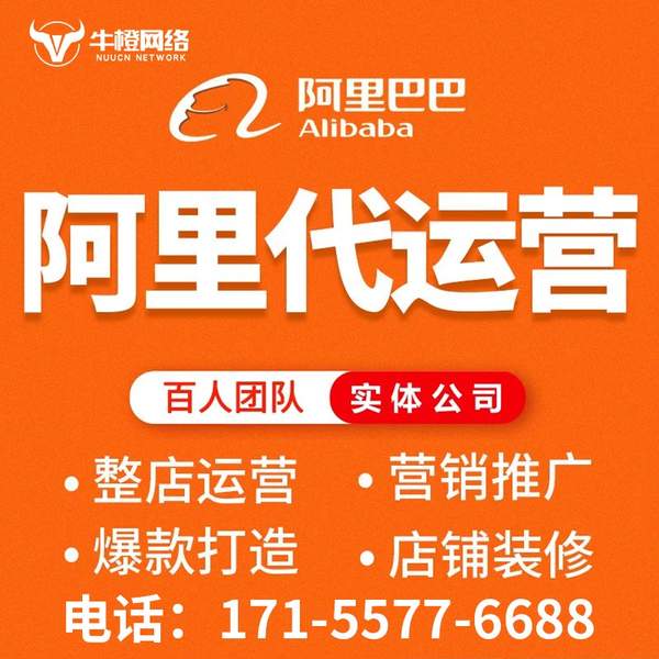 安阳电商代运营