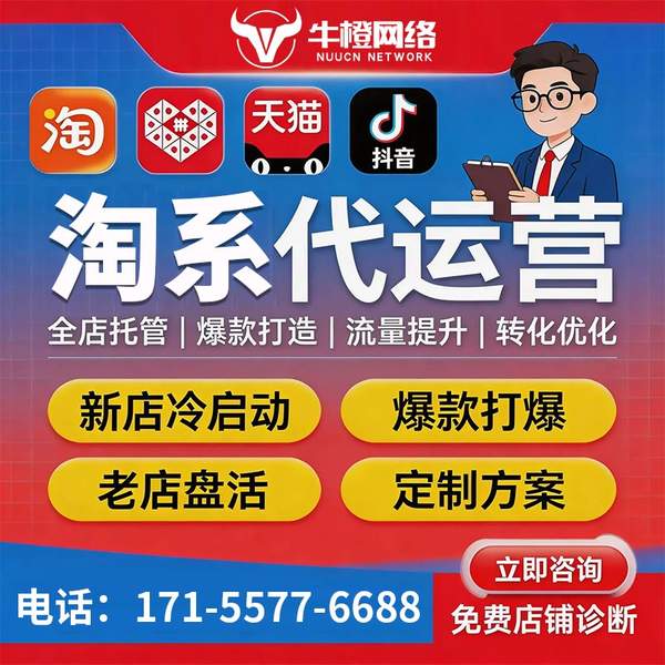 安阳电商代运营