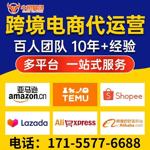 安阳电商代运营