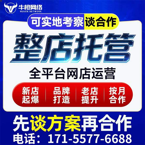 安阳电商代运营