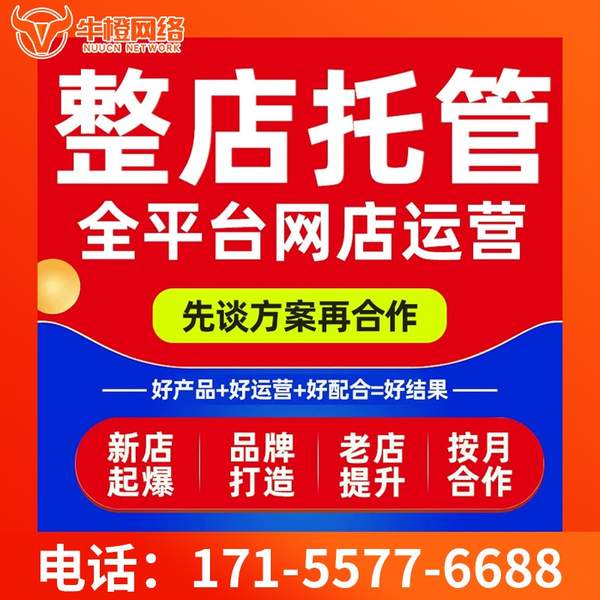 安阳电商代运营