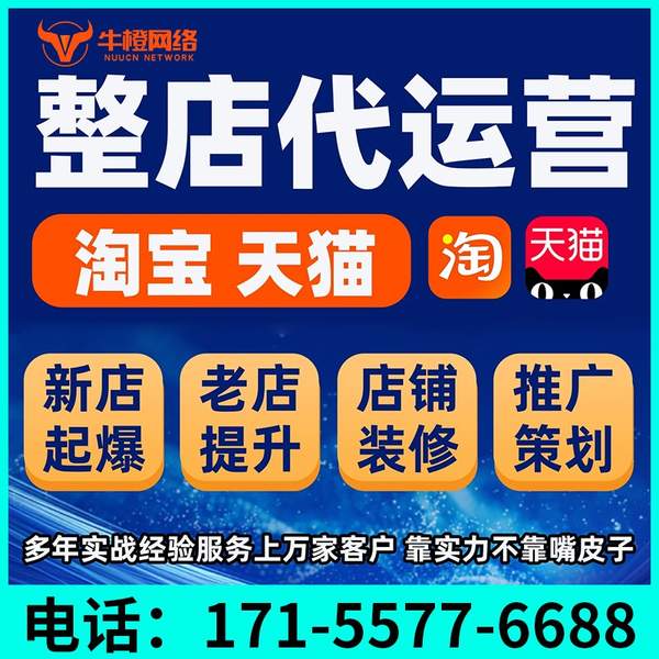 安阳电商代运营