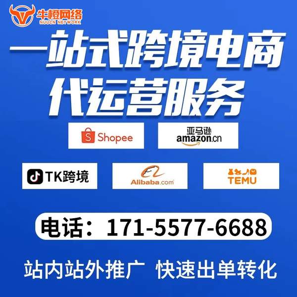 安阳电商代运营