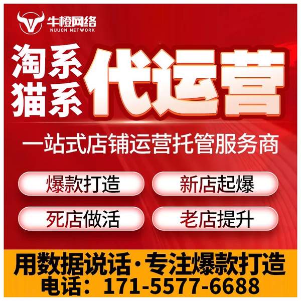 安阳电商代运营
